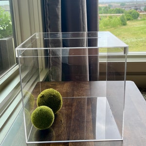 Puede incluir: Una caja transparente de acrílico con forma rectangular, que muestra dos bolas de musgo verdes en su interior. La caja está sobre una superficie de madera oscura, con una ventana y cortinas al fondo. La caja está vacía, y las bolas de musgo son el foco.