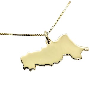 Puede incluir: Un collar con colgante dorado que presenta un contorno detallado de una forma geográfica. El colgante cuelga de una delicada cadena, creando un diseño simple pero elegante. El collar está sobre un fondo blanco.