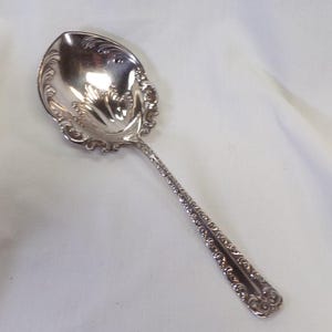 Può includere: Un cucchiaio da portata d'argento con un design floreale ornato sulla coppetta e sul manico. Il cucchiaio è posto su uno sfondo bianco, evidenziando la sua superficie riflettente e i dettagli intricati. Un classico dell'argenteria.