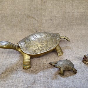 Può includere: Una grande statuetta di tartaruga in ottone con guscio incernierato, accompagnata da una tartaruga in ottone più piccola e da un minuscolo e dettagliato ditale a forma di tartaruga. Ogni pezzo presenta una finitura dorata e motivi testurizzati.