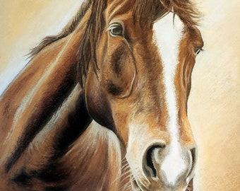 Horse Pastel Portrait - ORIGINAL DRAWING - A4