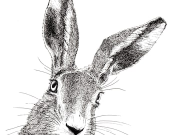 Hare Quality Art Print / A4 / Unframed