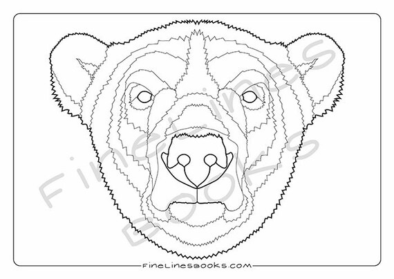 78  Bear Head Coloring Pages  Latest HD