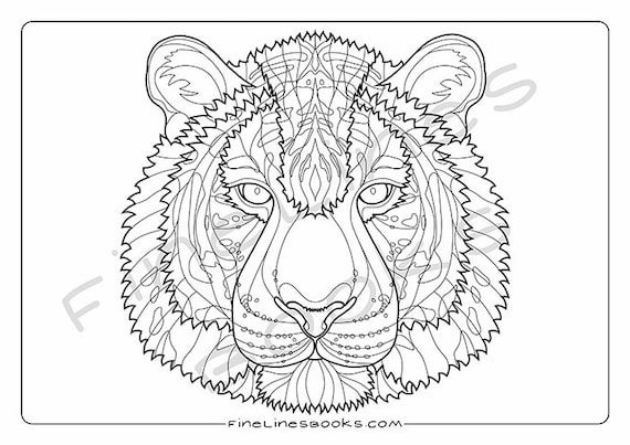 68 Animal Kingdom Coloring Pages Printable  Best Free