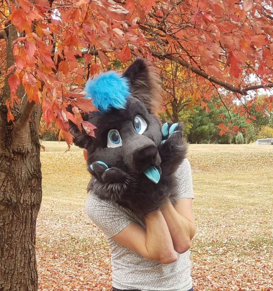 FURSUIT Premade Partial Protogen Head Paws Tail 