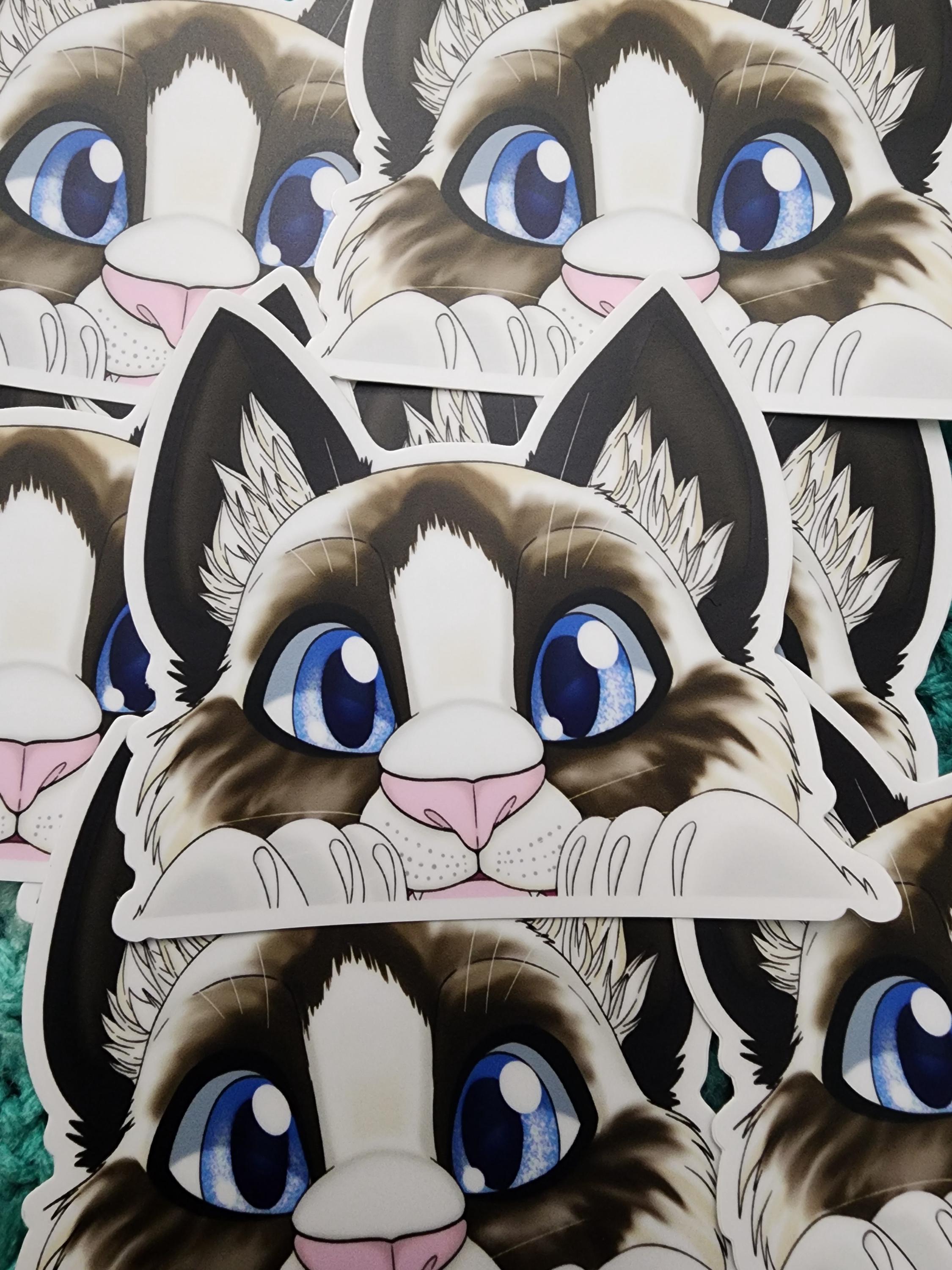 Cute Ragdoll Cat Peeking Vinyl Sticker - Etsy