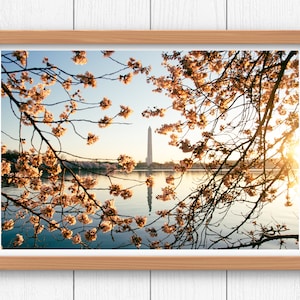 ワシントン DC 旅行写真 | ワシントン記念塔 | タイダルベイスン | 植物プリント | 桜の装飾 | 花のアートプリント | 保育園