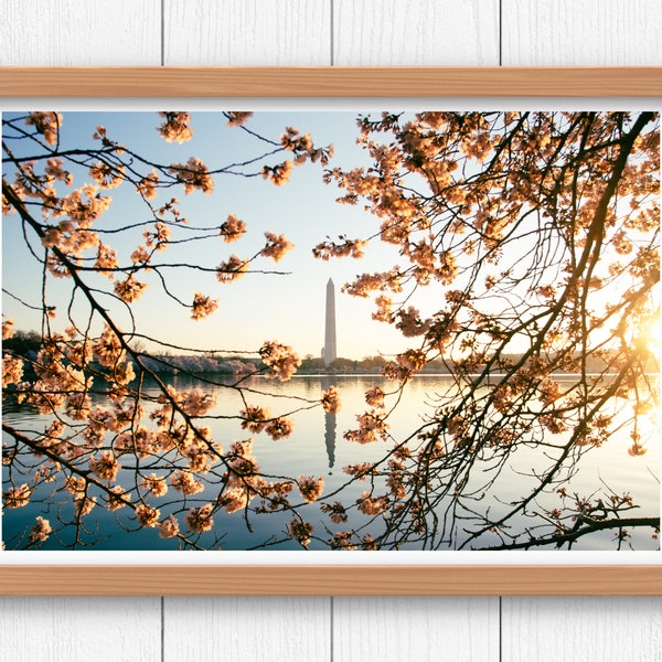 Washington, DC Travel Photography | Washington Monument | Tidal Basin | Botanical Print | Cherry Blossom Decor | Floral Art Print | Nursery