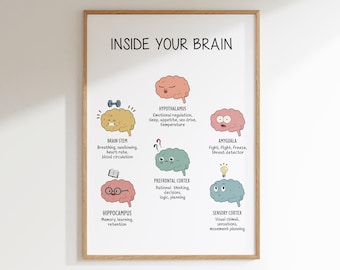 Hersenfuncties, poster het menselijk brein, hersenmodel, therapiekantoordecor, hersenanatomie