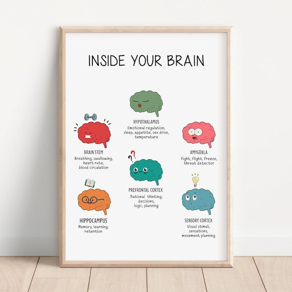 Brain Functions Poster, Parts of the Brain, Inside Your Brain, The Human Brain Poster, Therapy Office Decor, Brain and Emotions