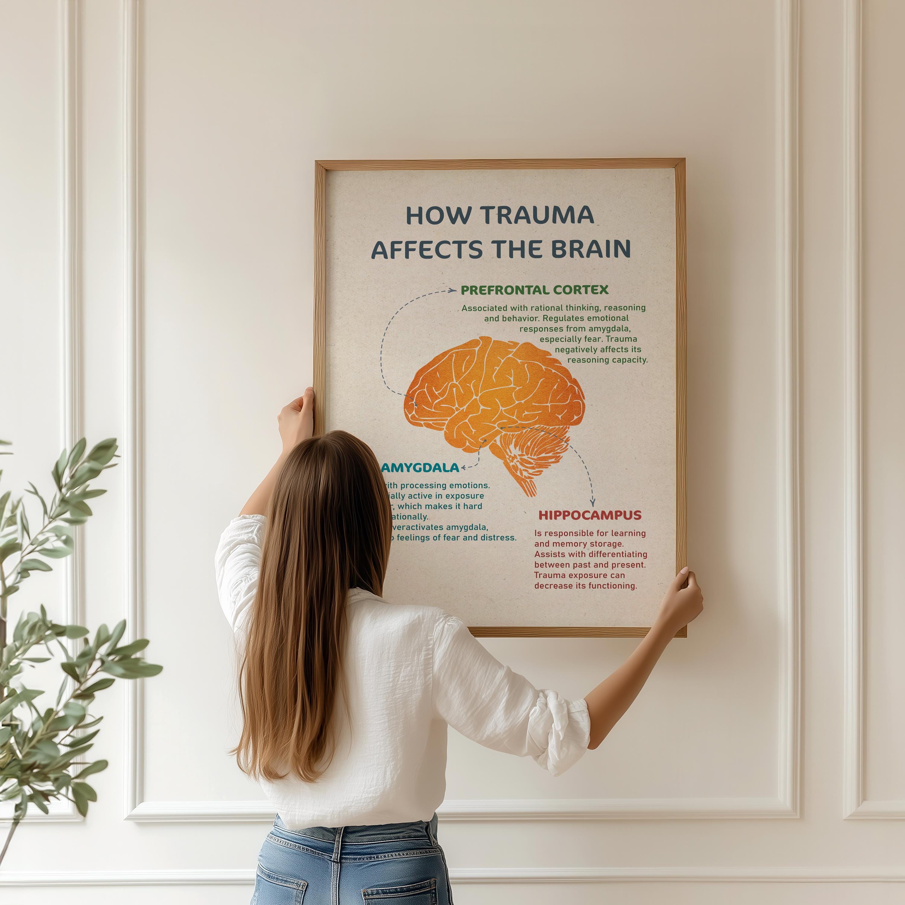 How Trauma Affects the Brain, Trauma Brain Poster, Mental Health Wall ...