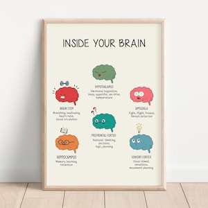 Poster Fonctions cérébrales, À l'intérieur du cerveau, Poster Le cerveau humain, Décoration de bureau pour thérapie, Cerveau et émotions, Poster pour la classe