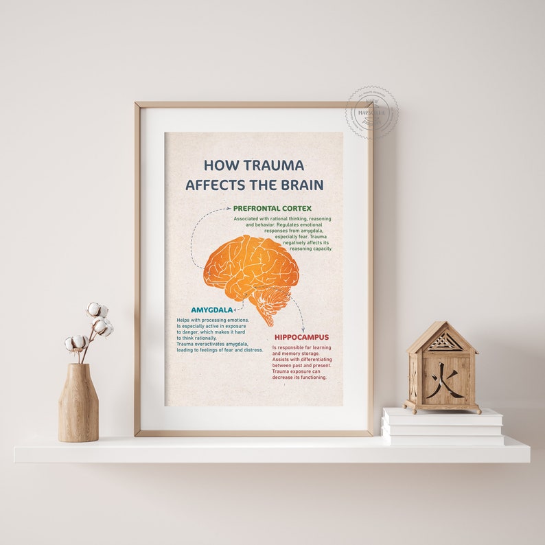 How Trauma Affects the Brain Trauma Healing Mental Health - Etsy