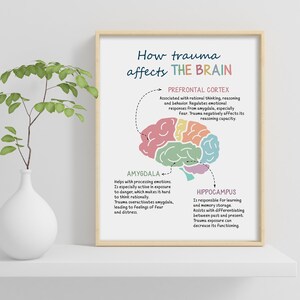 How Trauma Affects the Brain, Trauma and the Brain, Brain Anatomy ...