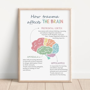 How Trauma Affects the Brain, Trauma and the Brain, Brain Anatomy, Therapy Office Decor, Brain Model, Psychology Art Print