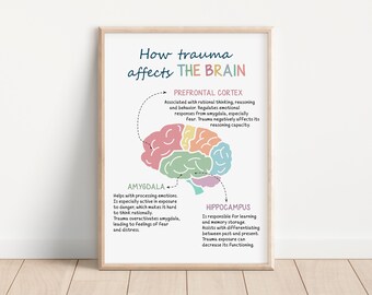 How Trauma Affects the Brain, Human Brain Poster, Brain Anatomy Poster ...