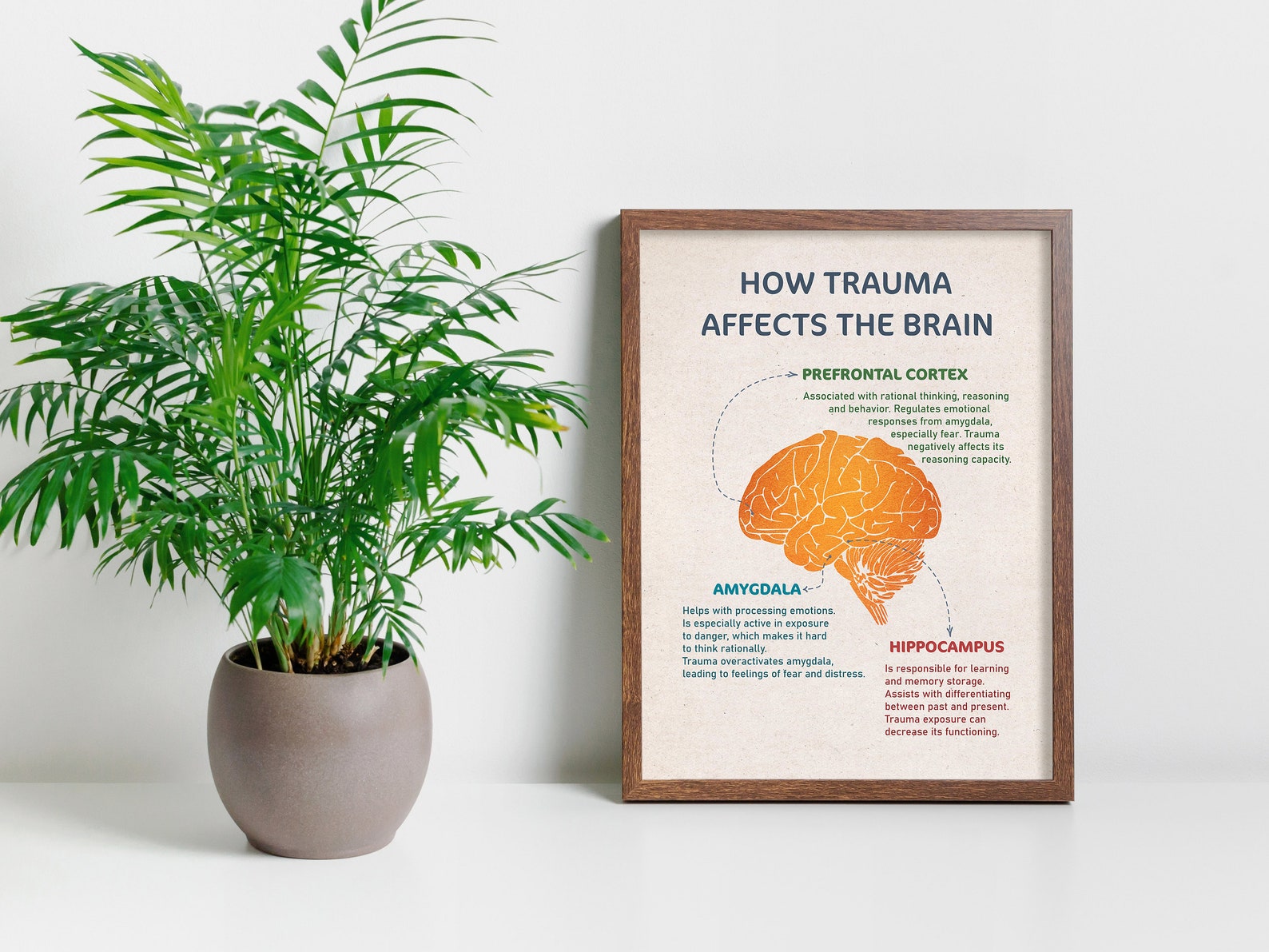 How Trauma Affects the Brain Trauma Healing Mental Health - Etsy