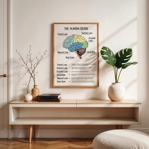 The Human Brain, Mental Health Brain Wall Art, Brain and Behavior ...