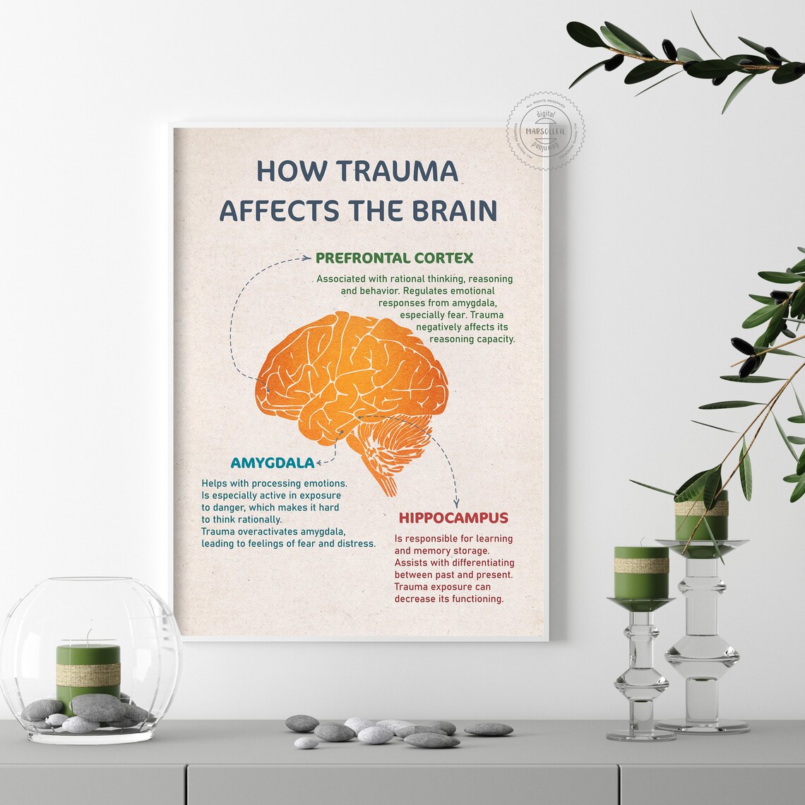 How Trauma Affects the Brain Trauma Healing Mental Health - Etsy