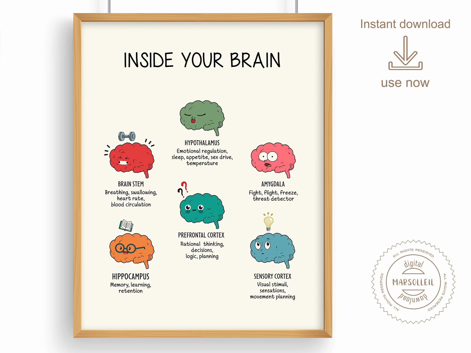 Brain Functions Poster, Inside Your Brain, the Human Brain Poster ...