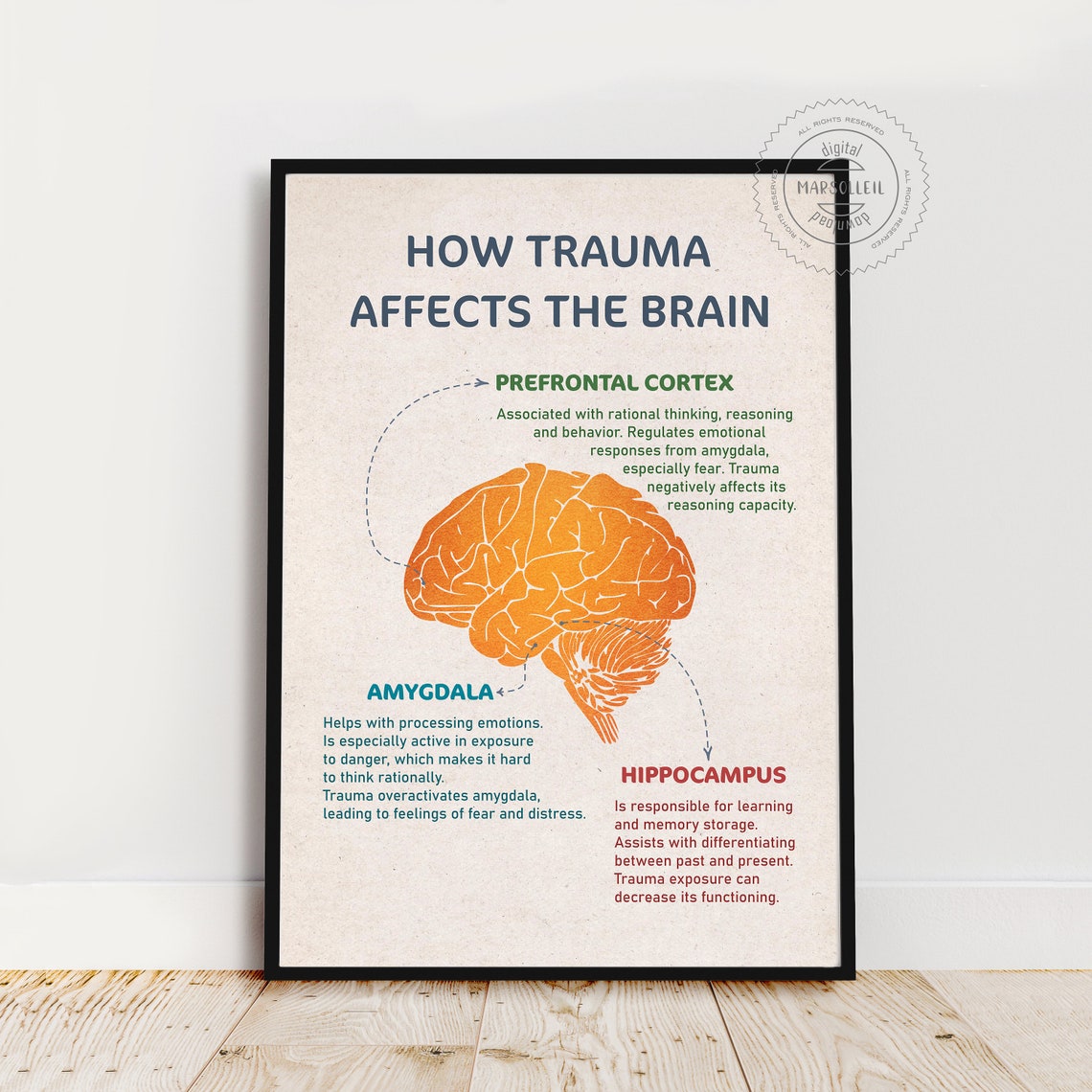 How Trauma Affects the Brain Trauma Healing Mental Health - Etsy