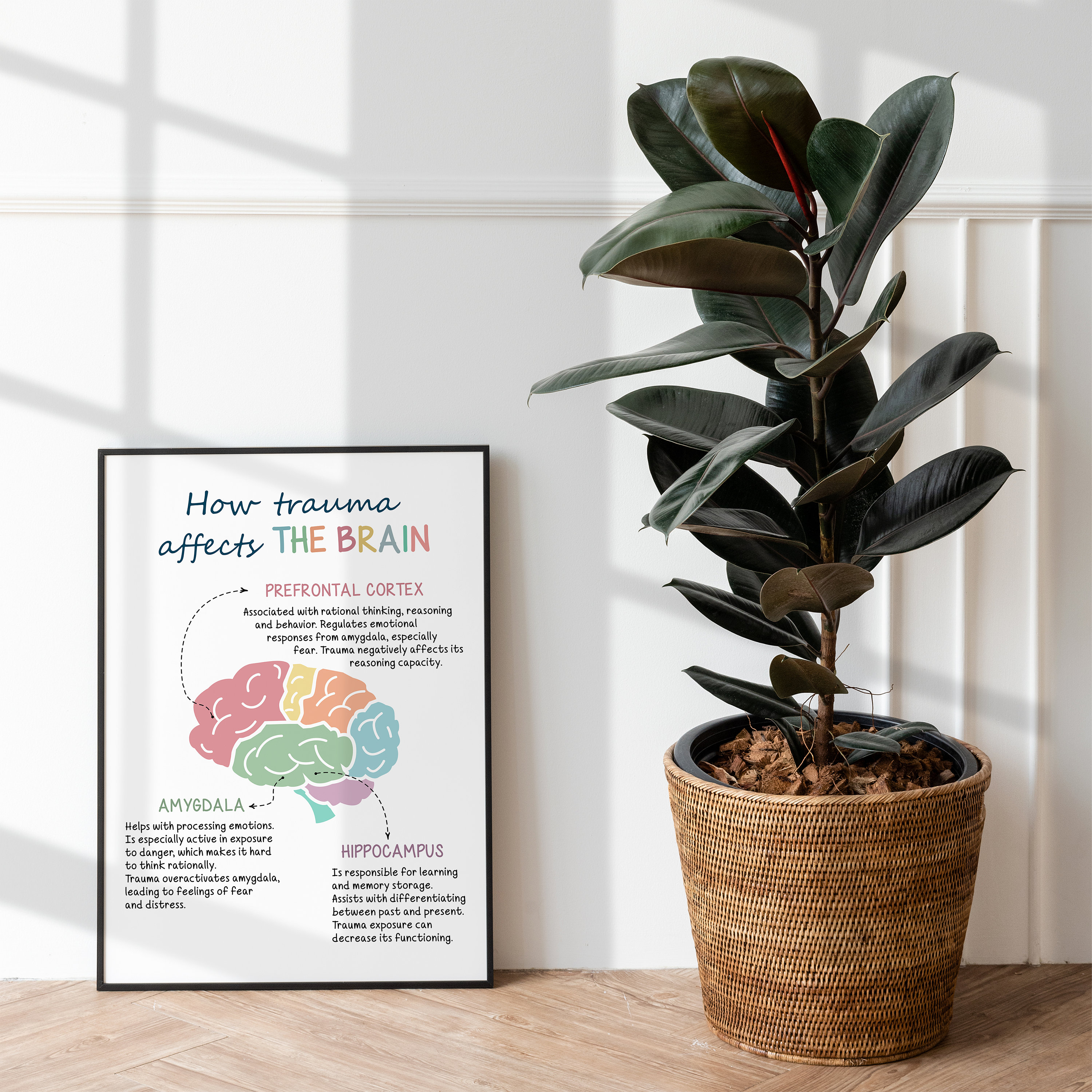 How Trauma Affects the Brain, Trauma and the Brain, Brain Anatomy ...