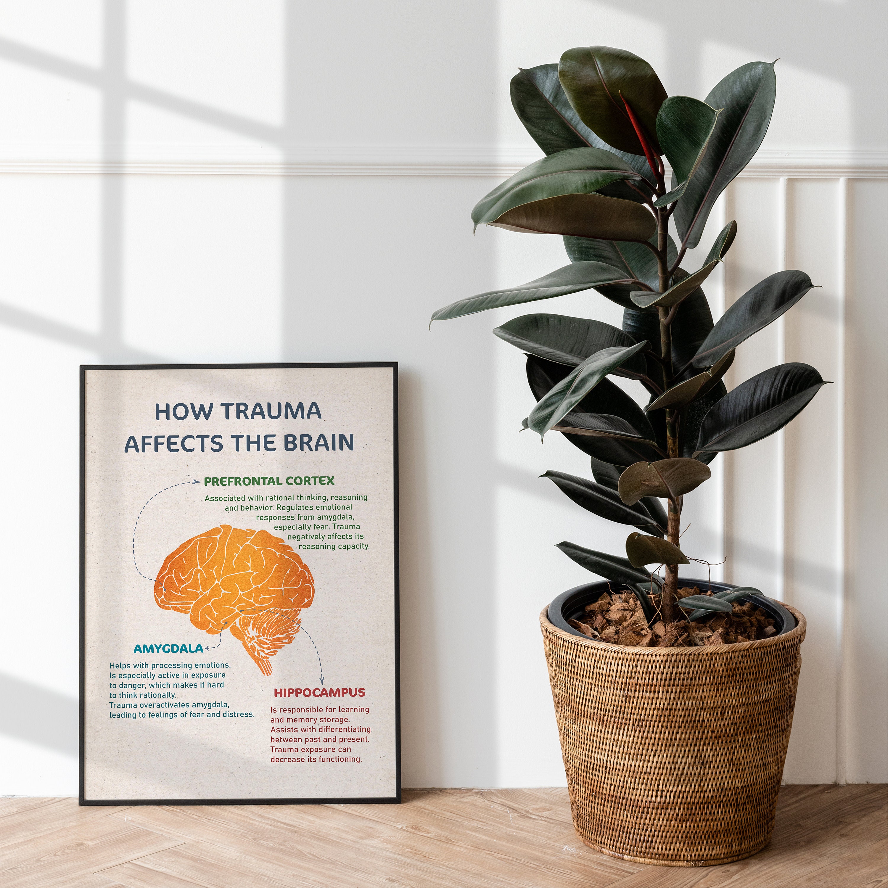 How Trauma Affects the Brain, Trauma Brain Poster, Mental Health Wall ...