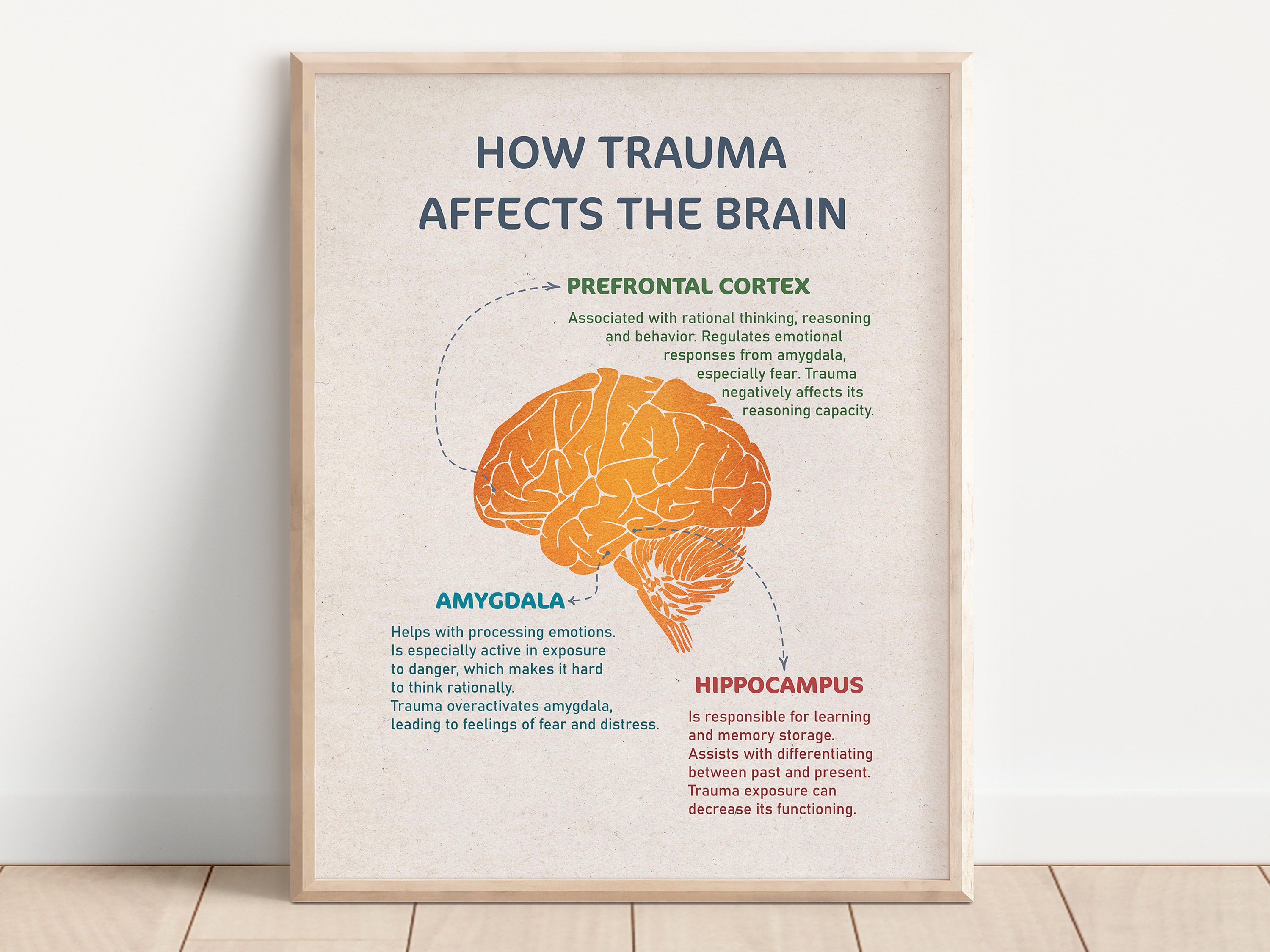 How Trauma Affects the Brain Trauma Healing Mental Health - Etsy