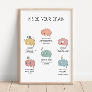 Brain Functions, The Human Brain Poster, Brain Model, Therapy Office Decor, Brain Anatomy