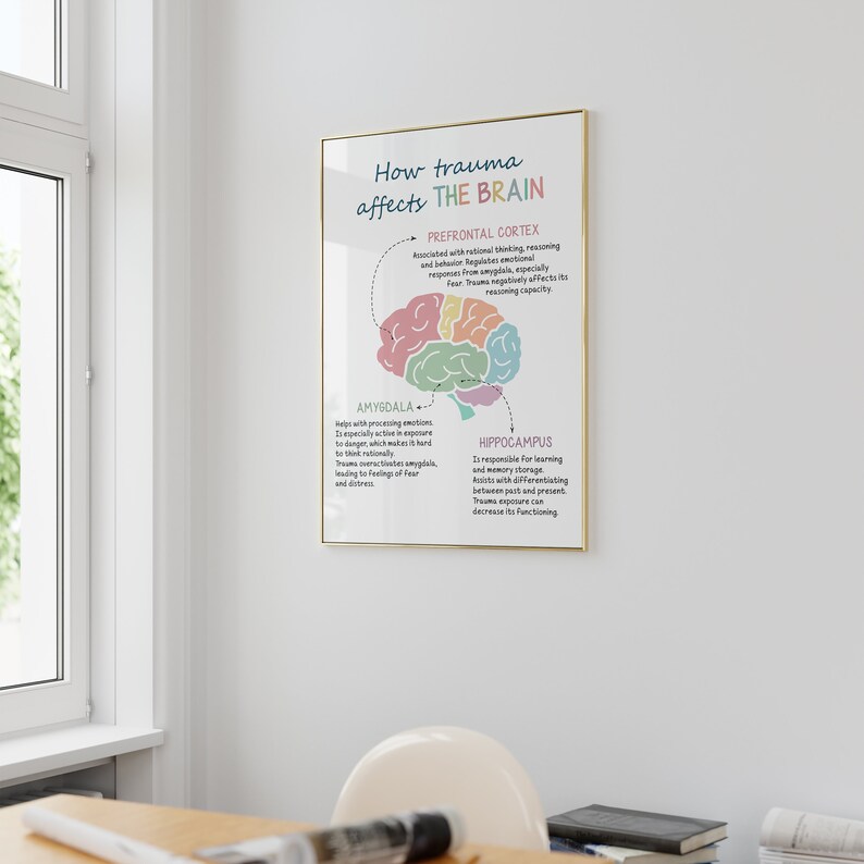 How Trauma Affects the Brain, Trauma and the Brain, Brain Anatomy ...