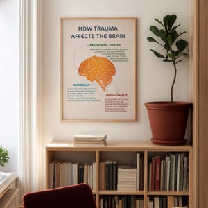 How Trauma Affects the Brain, Trauma Brain Poster, Mental Health Wall ...