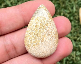 Pear Fossil Coral Cabochon: Natural Gemstone Pendant (39x24x7MM