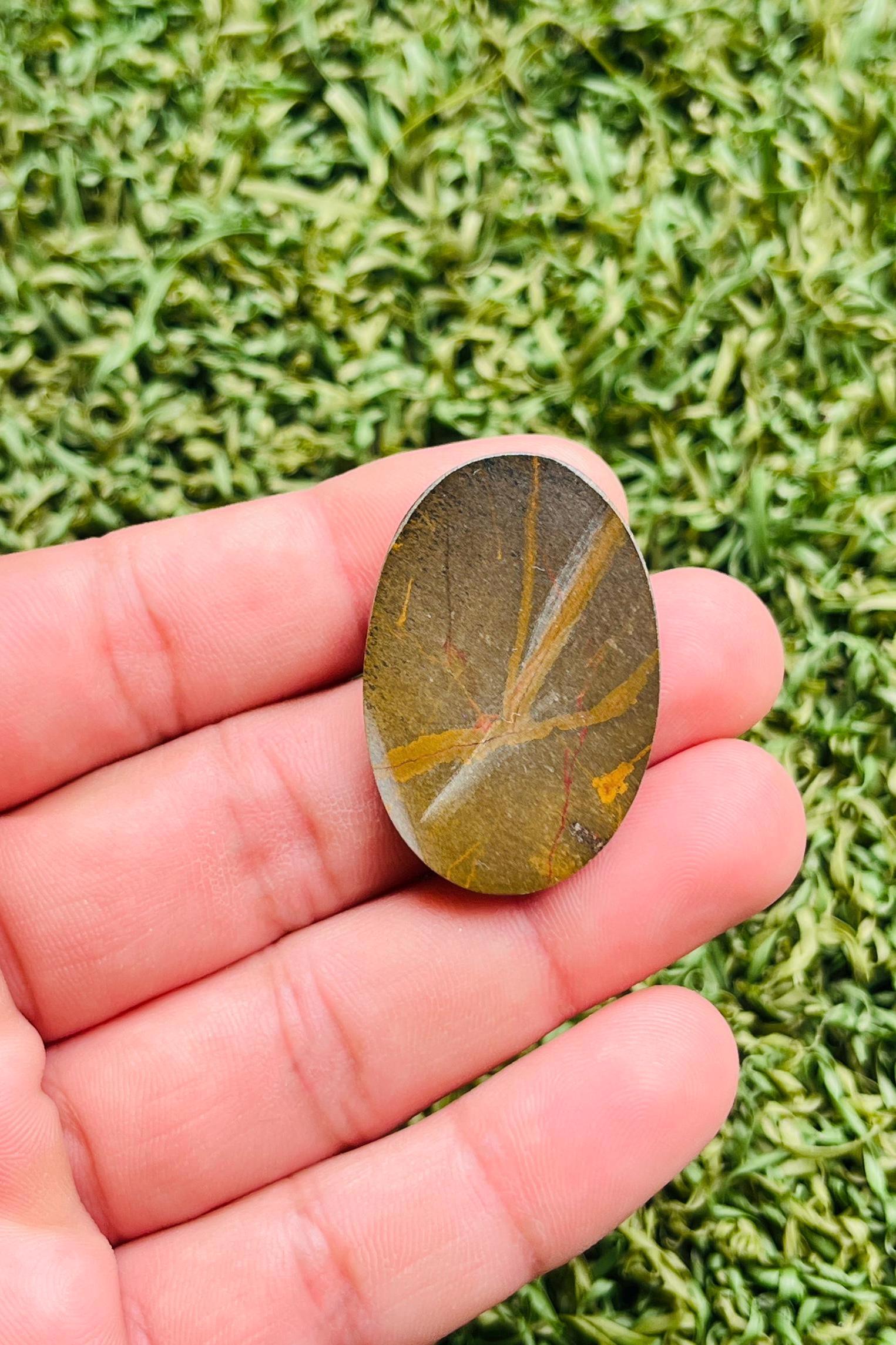 Cabochon D'Oeil De Tigre Naturel - Ovale, 29,81 Carats - Couleur Jaune Ocre - Neuf Avec Étiquettes