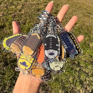 RESTOCKED Isopod artwork acrylic keychains acrylic cubaris porcellio 20 species