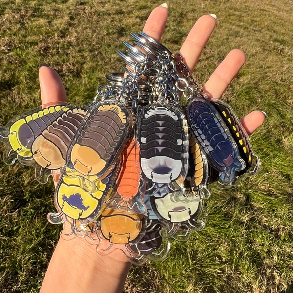 RESTOCKED Isopod artwork acrylic keychains acrylic cubaris porcellio 20 species