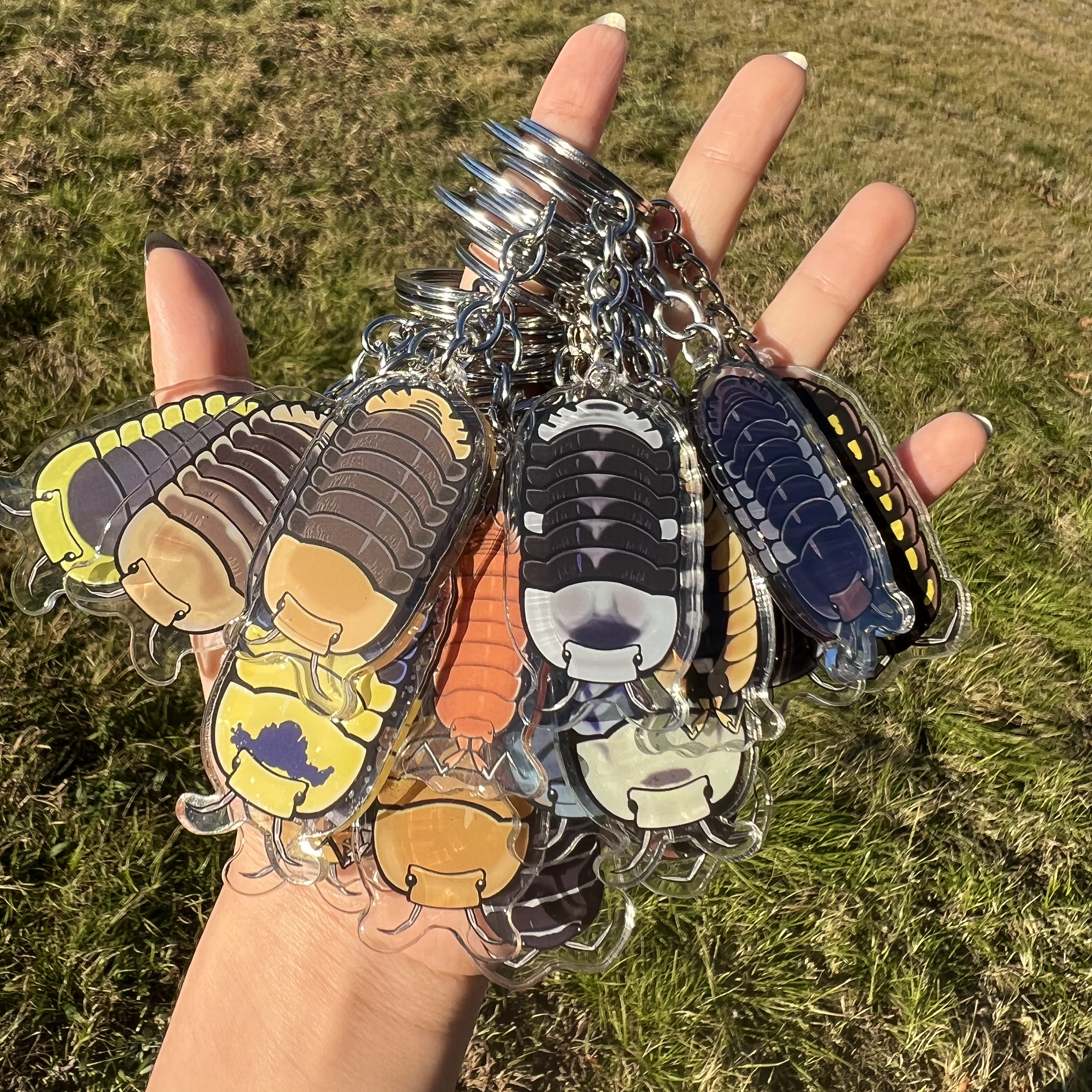 Isopod artwork acrylic keychains acrylic cubaris porcellio 20 species