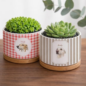 Op de afbeelding: Twee keramische plantenpotten met hondenportretten. Eén heeft een rood-wit ruitpatroon en de naam "Tyler". De andere heeft beige verticale strepen en de naam "Brady". Beide hebben houten schotels en bevatten planten.