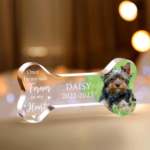 May include: A clear acrylic bone-shaped memorial with a photo of a small dog named Daisy. The bone has the text "Once by my side, Forever in my Heart" and "DAISY 2022-2025". A touching pet remembrance.