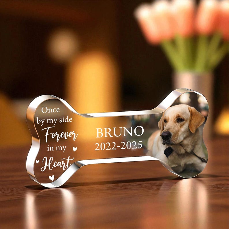 May include: A clear acrylic dog bone-shaped memorial with a photo of a yellow Labrador. The bone has the name "BRUNO" and dates "2022-2025" printed on it, along with the text "Once by my side, Forever in my Heart."