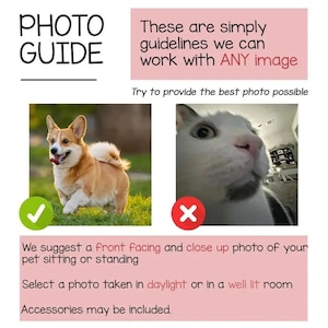 May include: A photo guide with text and images. The text reads "PHOTO GUIDE" and "These are simply guidelines we can work with ANY image." Examples of a good and bad pet photo are shown. The guide suggests a front-facing, close-up photo in daylight.