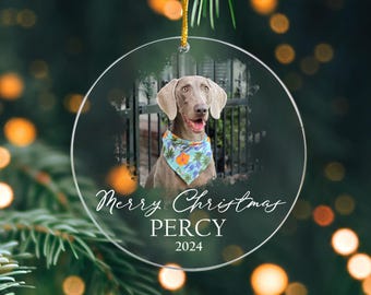 May include: A clear glass Christmas bauble featuring a photograph of a grey dog wearing a blue and green bandana. The bauble is inscribed with the text "Merry Christmas Percy 2024".