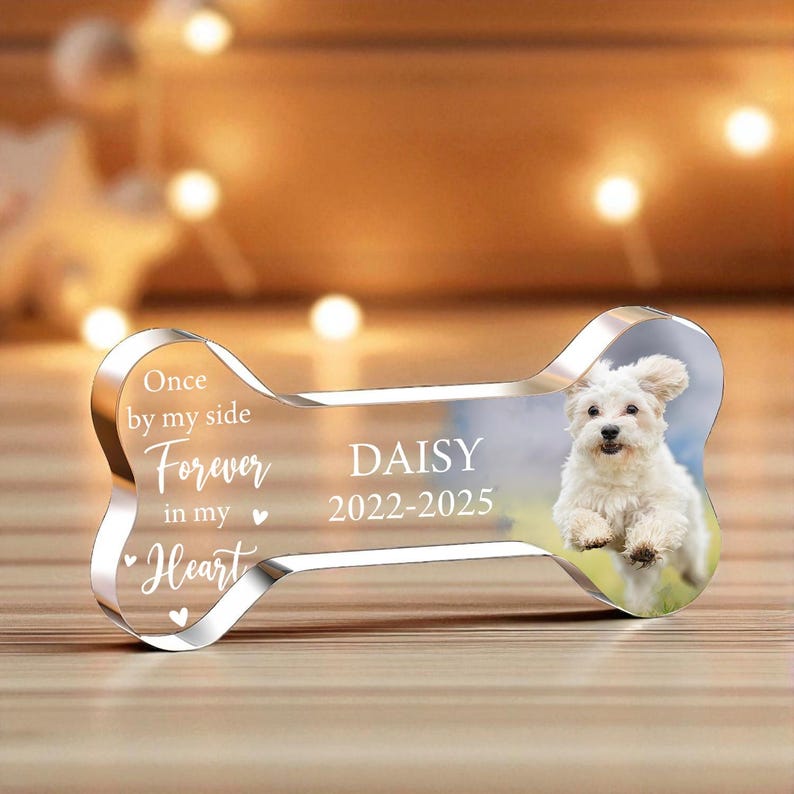 May include: A clear acrylic dog bone-shaped memorial with a photo of a white dog. The bone has the name "DAISY" and dates "2022-2025" printed on it, along with the words "Once by my side, Forever in my Heart."