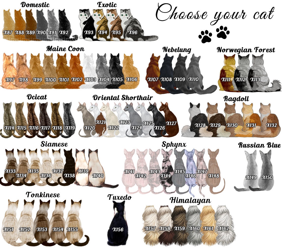 Set Di 2 Acchiappasole Commemorativi Per Cani Yorkshire Terrier - In Acrilico Con Catena E Ventosa - Regalo Perdita Animale Domestico - 5