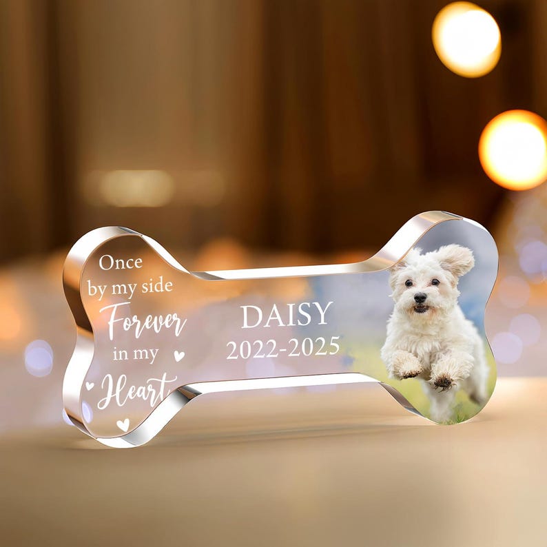 May include: A clear acrylic bone-shaped memorial with a photo of a white dog. The text reads "Once by my side, Forever in my Heart, Daisy 2022-2025". The dog is jumping in a grassy area.