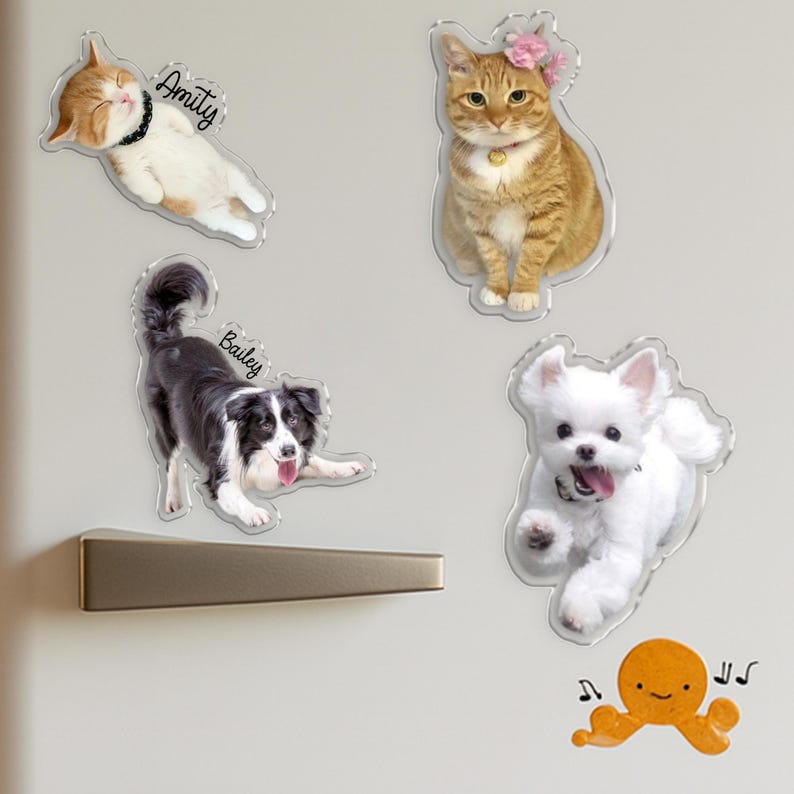 Pu&ograve; includere: Una collezione di calamite trasparenti in acrilico con vari animali domestici. Include un gatto arancione e bianco addormentato di nome Amity, un gatto arancione seduto, un cane bianco e nero di nome Bailey e un cane bianco che corre. &Egrave; incluso anche un magnete a forma di polpo arancione.