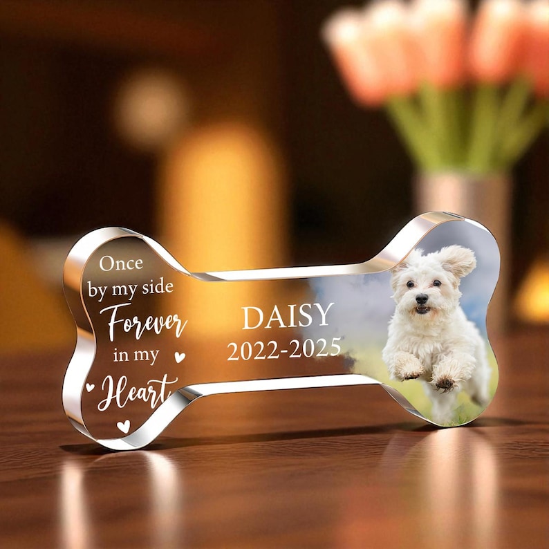 May include: A clear acrylic dog bone-shaped memorial with a photo of a white dog. The bone has the name "DAISY" and dates "2022-2025" printed on it, along with the text "Once by my side, Forever in my Heart."