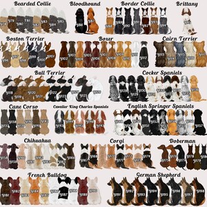 May include: A collection of dog illustrations, each depicting a different breed, including Bearded Collie, Bloodhound, Border Collie, and more. The dogs are shown in various colors and poses, with each labeled with a number.