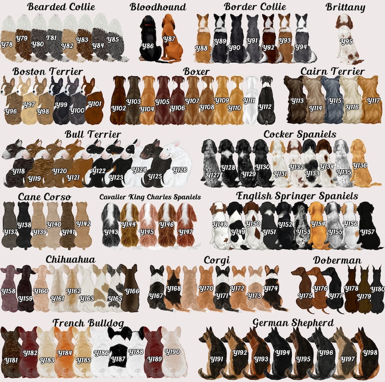 May include: A collection of dog illustrations, each depicting a different breed, including Bearded Collie, Bloodhound, Border Collie, and more. The dogs are shown in various colors and poses, with each labeled with a number.