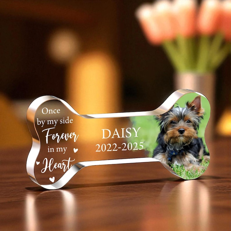 May include: A clear acrylic dog bone-shaped memorial with a photo of a Yorkshire Terrier. The bone has the name "DAISY" and dates "2022-2025" printed on it, along with the words "Once by my side, Forever in my Heart."