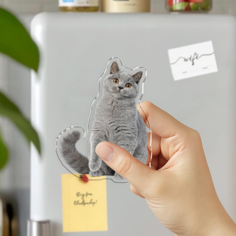 Pu&ograve; includere: Un magnete trasparente in acrilico raffigurante un gatto British Shorthair grigio con occhi color ambra. Il gatto &egrave; seduto con la coda arricciata. Il magnete &egrave; tenuto contro un frigorifero bianco. C'&egrave; un post-it giallo.